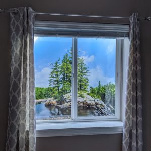 Window Well Ladders and Picture Scenes